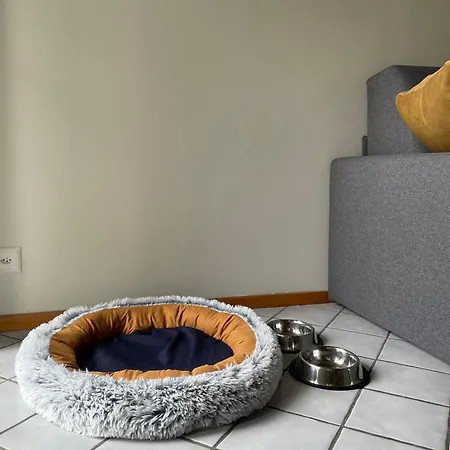 Torretta House Apartament *